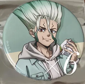 Dr.STONE 이시가미 치쿠루 믹스 정원 캔뱃지