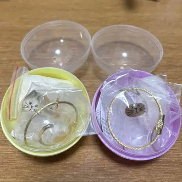 우리 집 고양이, 삼색 고양이, 샴