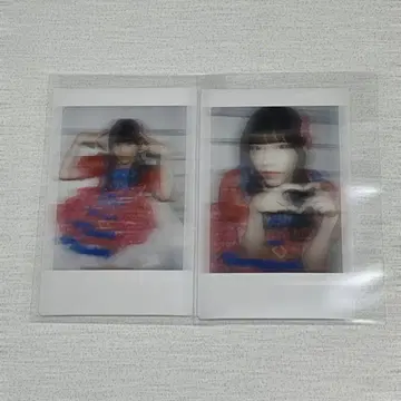 나나코로비아오키 이치카와 에쿠보 폴라로이드 2장