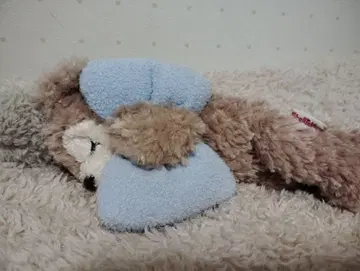 셰리 메이 스위트 드림 봉제 인형