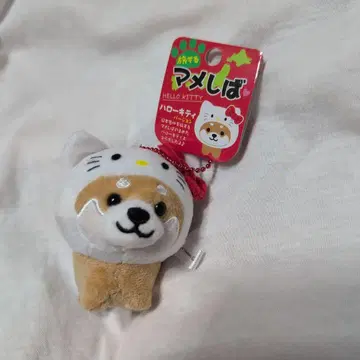 여행하는 마메시바 헬로키티