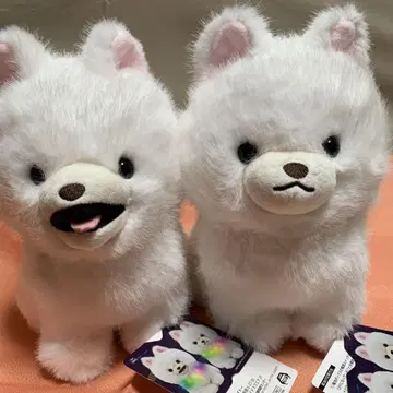 빛나는! 게이밍 포메라니안 봉제 인형 다이토 한정 2종 세트