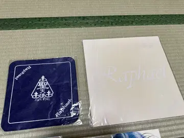 Raphael 천단 팜플렛 손수건 타월