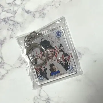 ano 고양이 토토 아크릴 키링 아노짱 라쿠텐 한정판