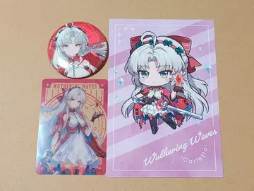 나루시오 마루이 POPUP 카루오타 묶음 판매