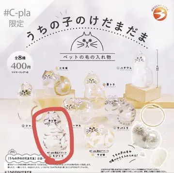 우리 아이의 케다마다마 #C-pla 한정판 키지트라