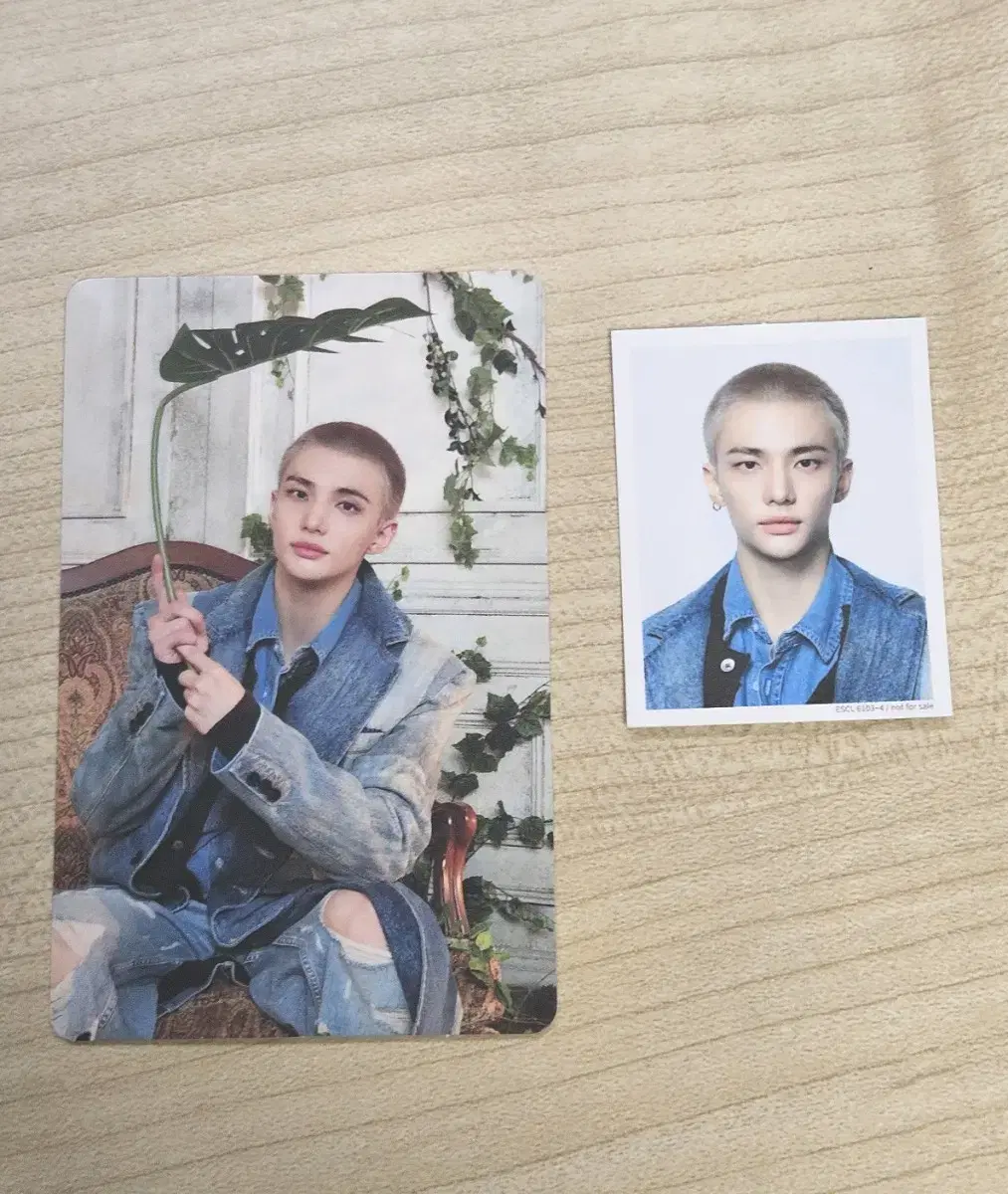 일괄)스트레이키즈 스키즈 현진 일본 hollow 초회생산한정반 A 포카