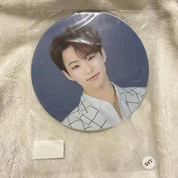 세븐틴 ODE TO YOU 서울 콘서트 부채 호시