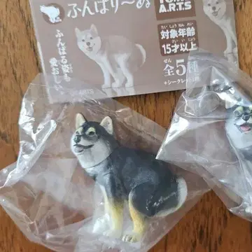 훈마리누 블랙 시바 잭 러셀 포메라니안 세트