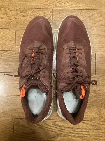 ECCO BIOM 2.1 28.0cm