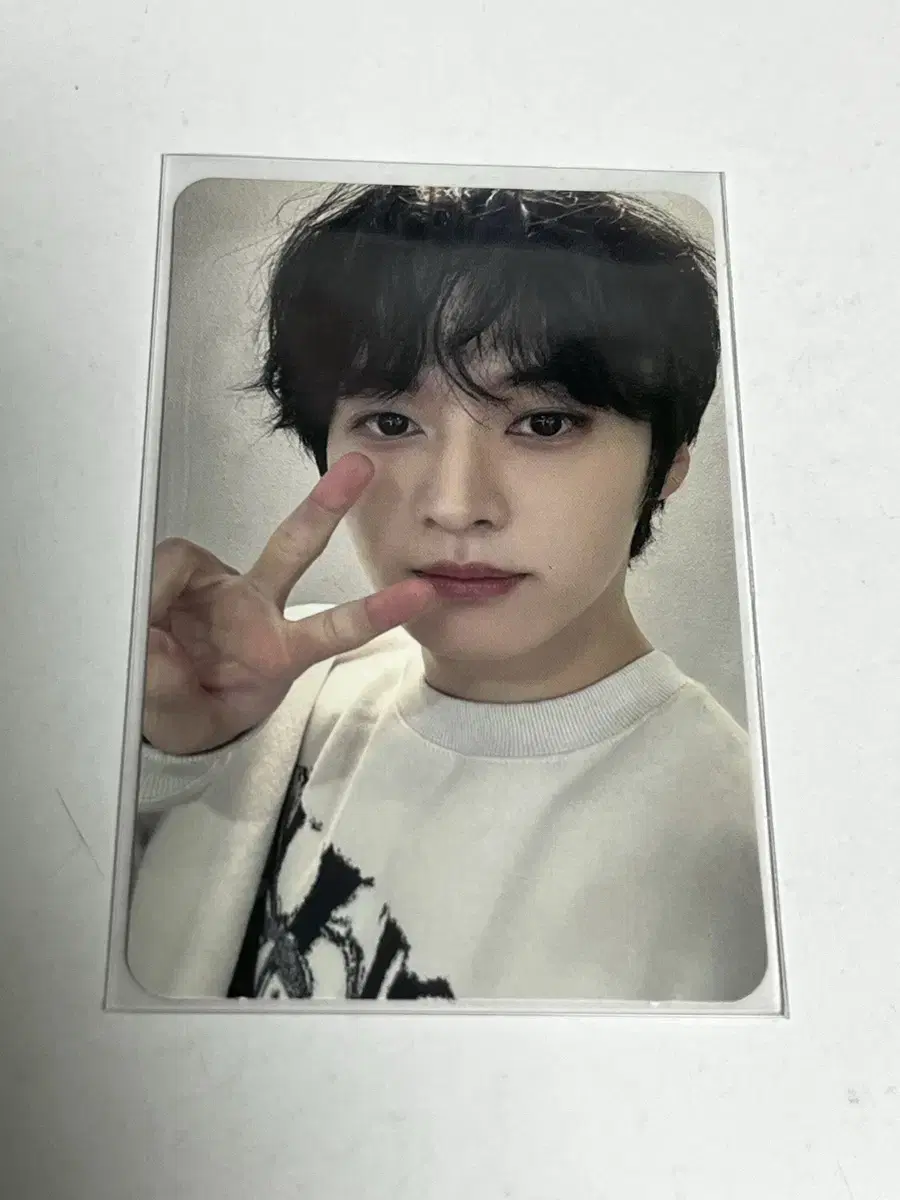 스트레이키즈 리노 락 사웨 럭드 포카 양도