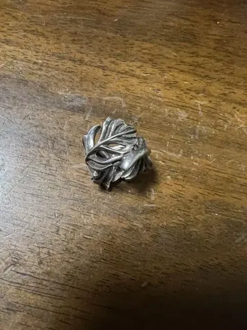 GARNI 깃털 깃털 페더 패턴 반지 약 15호