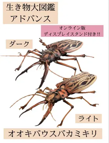 생물대도감 어드밴스 오오키바우스바키리