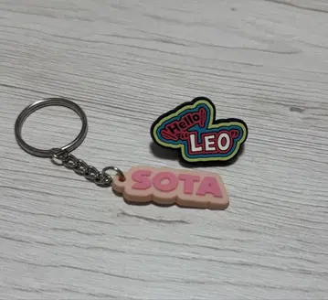 LEO SOTA 실리콘 키링 핀 배지