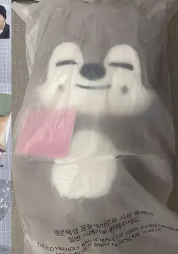 straykids 스키즈 테디베어 SKZOO 울프찬 teddy