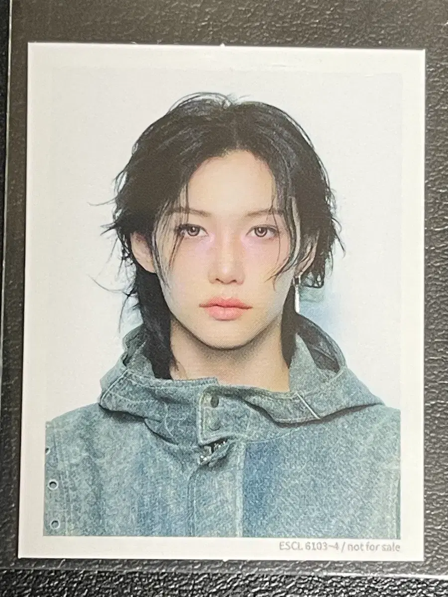 스트레이키즈 스키즈 할로우 필릭스 용복 증사 증명사진 양도