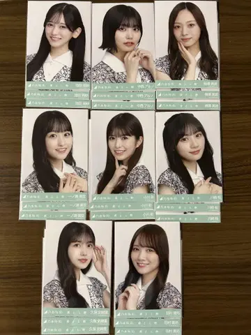 노기자카46 브로마이드 노기자카 컬렉션 분실물 컴프 묶음 판매 브로마이드