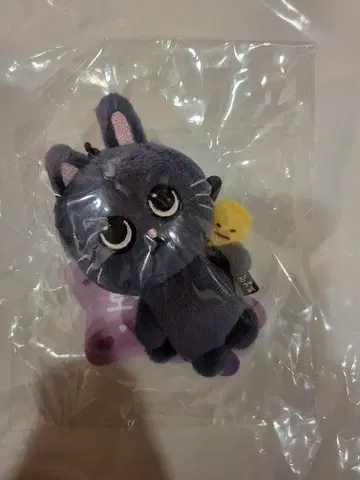 RIIZE PARK 원빈 토냐드 8cm 키링 공식 굿즈