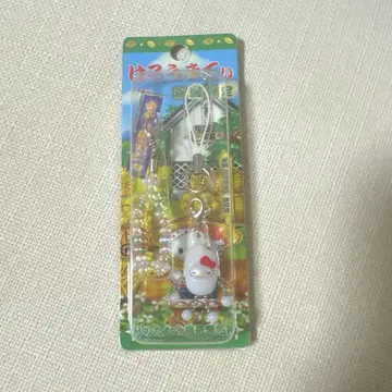 초레어 지역 키티 니가타 한정판 2004