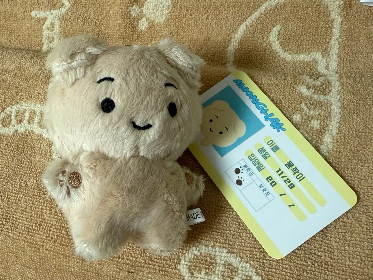 Munhak-i 1st Edition (boynextdoor woonhak Doll)