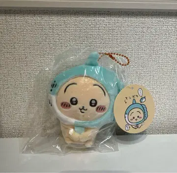 치이카와 수족관 마스코트 (토끼)