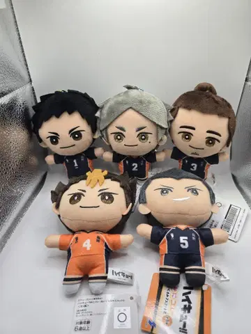 하이큐! 봉제 인형 마스코트 2 5종 세트