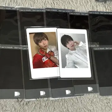 팬더 드래곤 하피카 패치