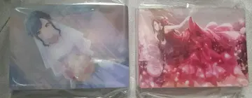 프로세카 노블 아트 vol.41 42 웨딩 준 브라 시로이시 안