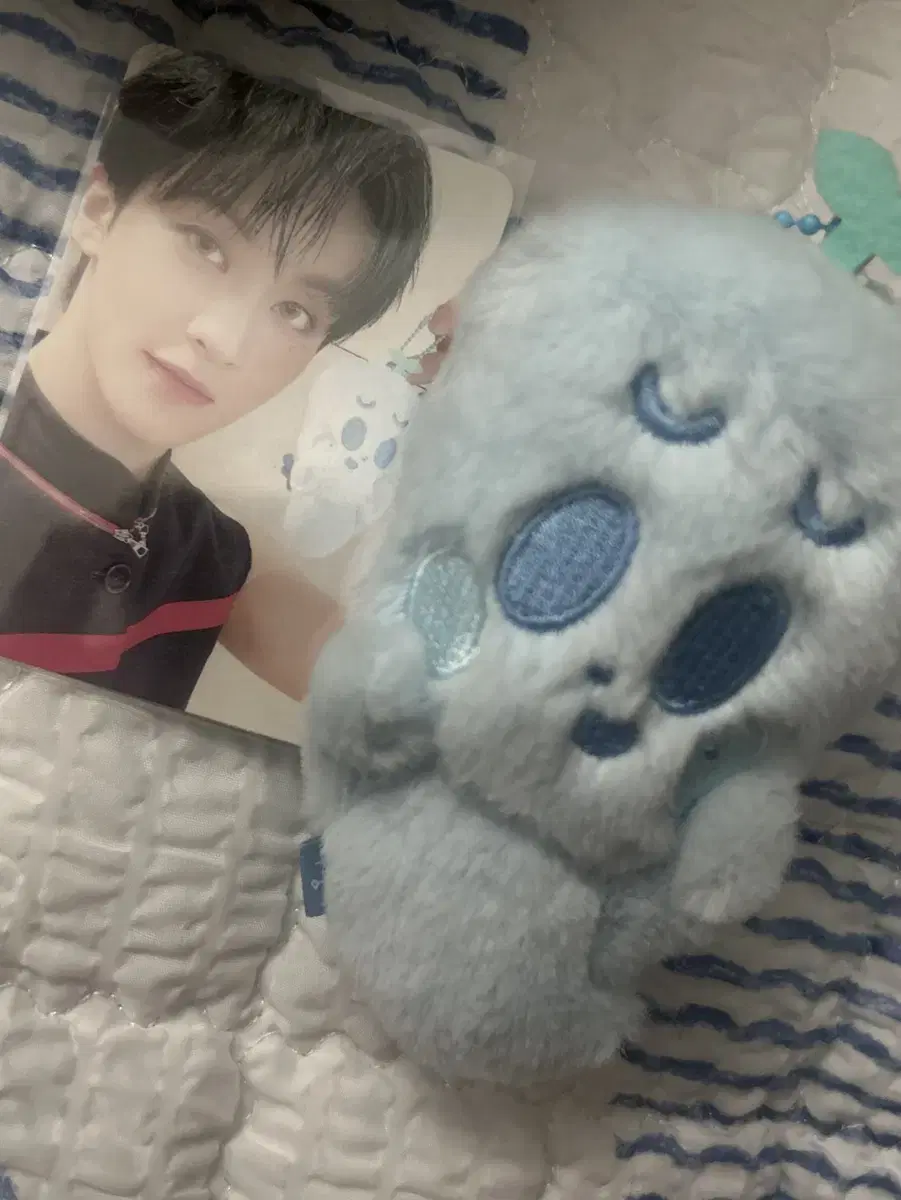 Nct dream 마크 인형 (포카 포함)