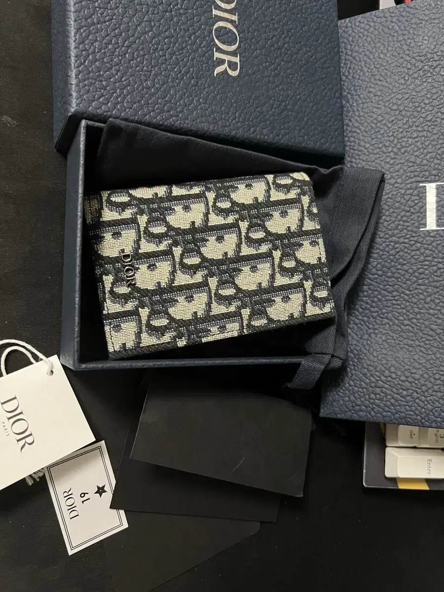 Dior Oblique Organizer (New)