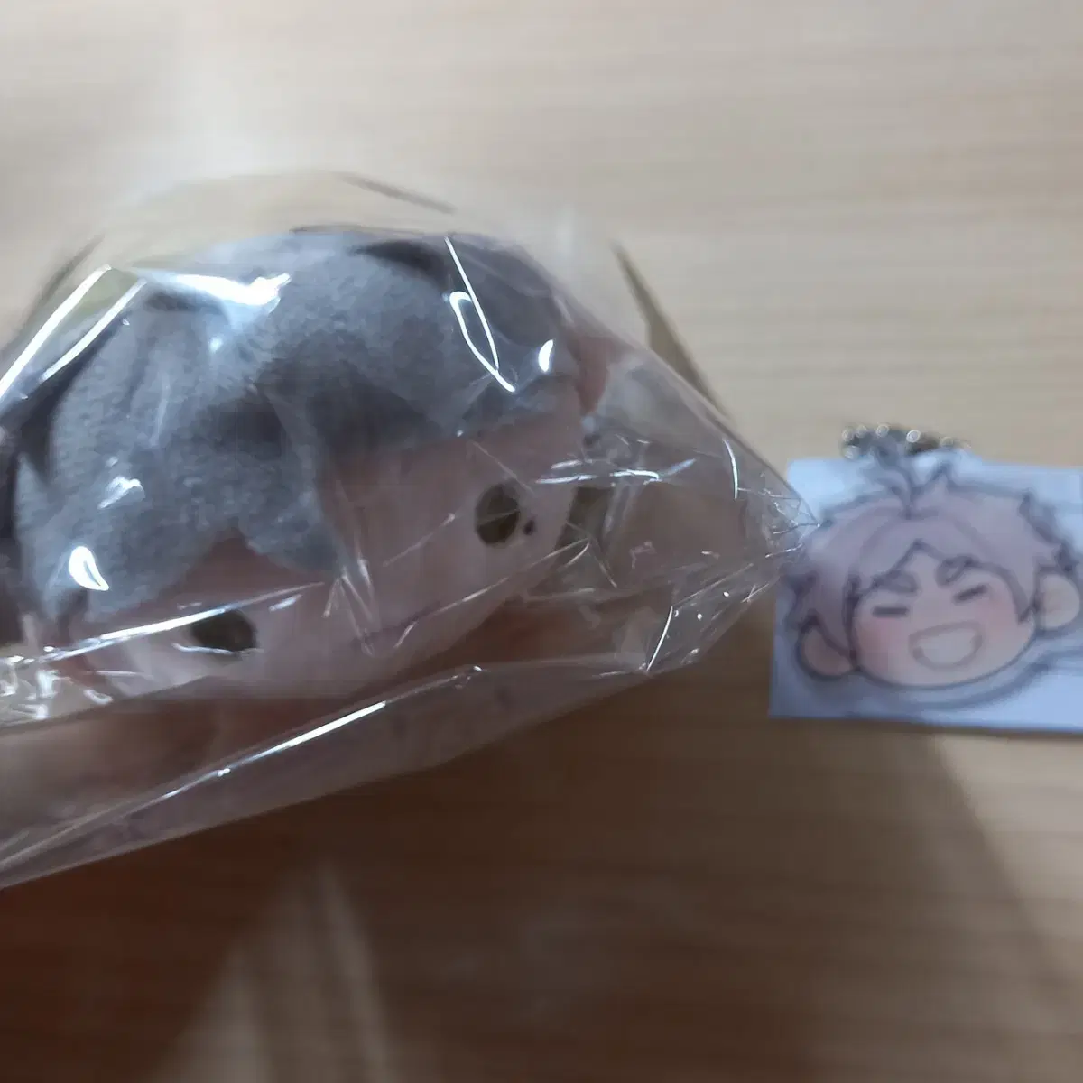 [Final Price] Bulk Haikyu Sugawara Koushi 10th Anniversary Norukyara Tsumu Keyring