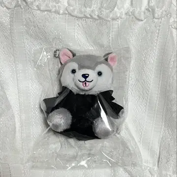 노킹 온 락 도어 (노키도어) 앉은 봉제 인형 도리견 마쓰무라 호쿠토