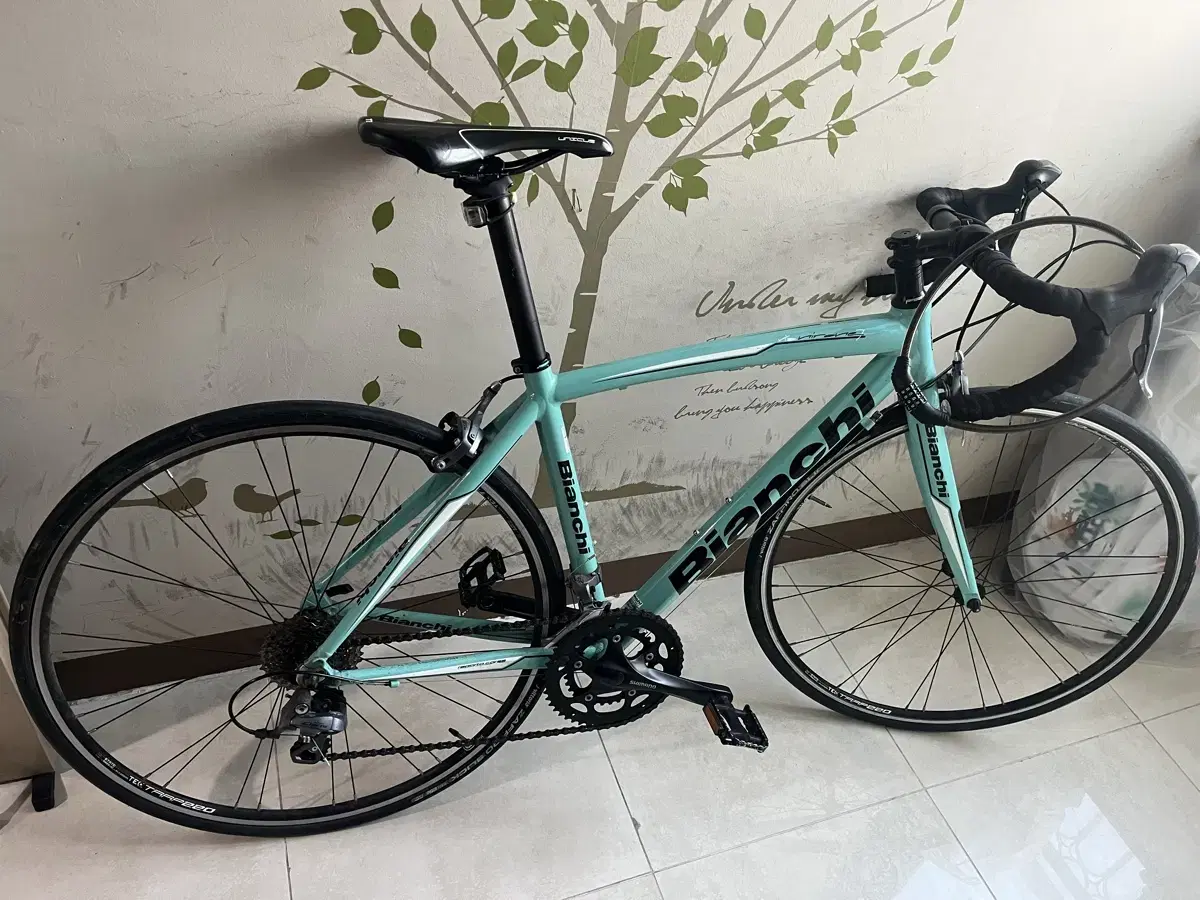 Bianchi Nirone 7 Claris