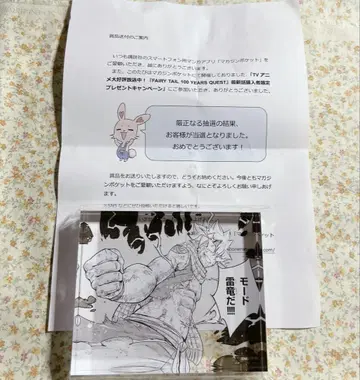 FAIRY TAIL YEARS QUEST 아크릴 블록 나츠 드래그닐
