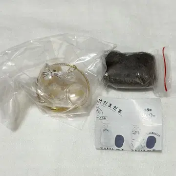 익명 배송 우리 집 고양이 C-pla 한정판 녹색 고양이