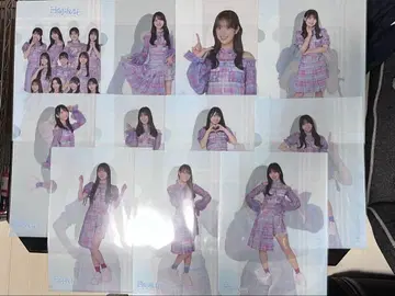 2024년 로손 복권 히나타자카46 클리어 파일 세트