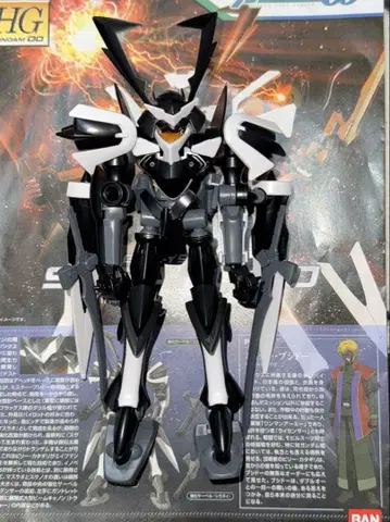 HG 1/144 스사노오 정크