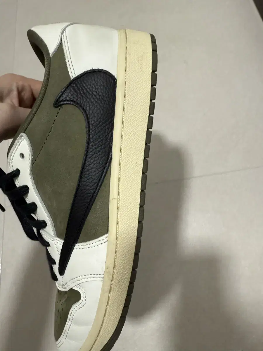 스캇 로우 올리브 275