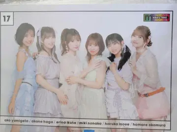 핑포스 반집합 17 모닝구 무스메. memory lane