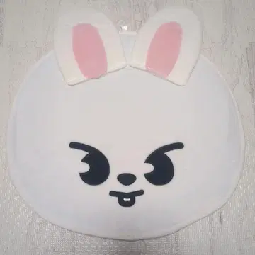 straykids 스키즈 리노 Lee 비트 부채 커버