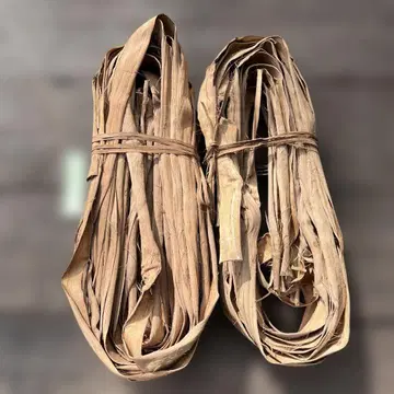 산포도 덩굴 첫 수확품 1280g S급품