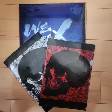 We Are X 팜플렛 클리어 파일 2장