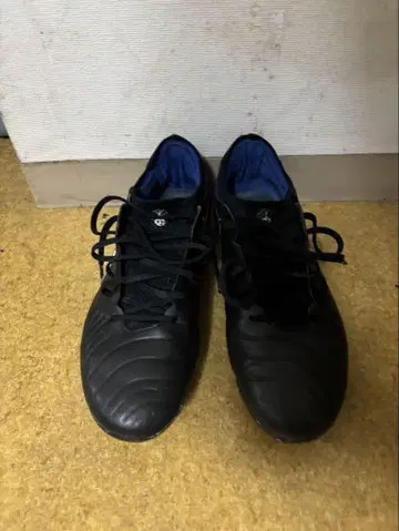 티엠포 10