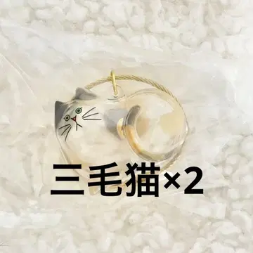 우리 집 고양이 삼색 고양이 가챠