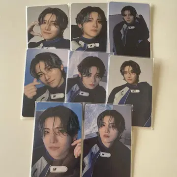 andteam YUMA 파우프루 first paw print 컴프