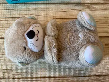 피셔프라이스 잘 자요, 랏코