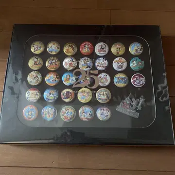 디즈니랜드 25주년 기념 캔 배치