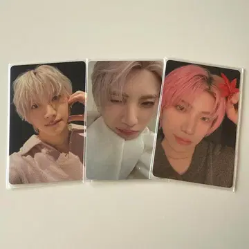 andteam YUMA  컴프