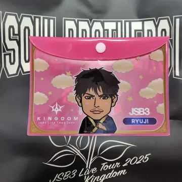 JSB3 RYUJI 파우치