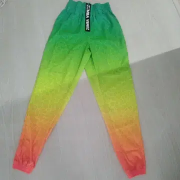 ZUMBA 정품